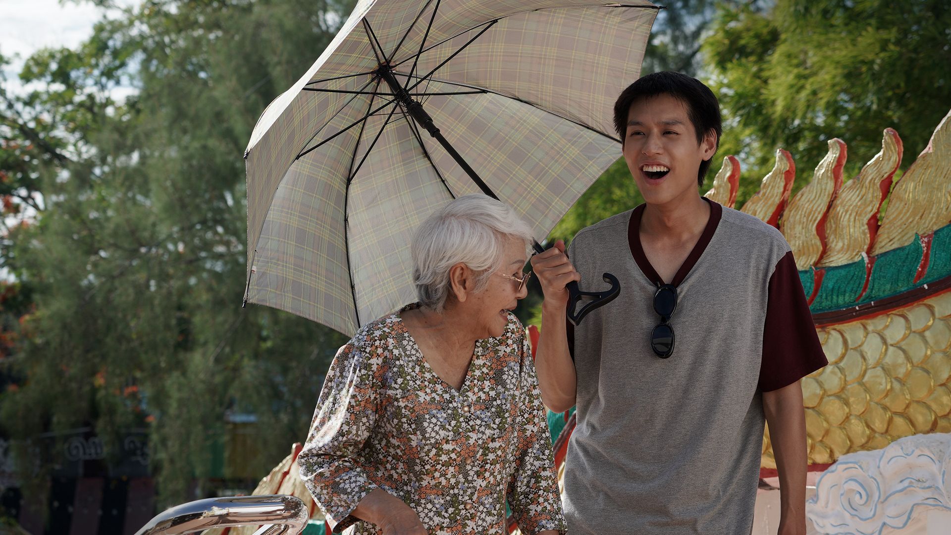Seniorikino: How to Make Millions Before Grandma Dies