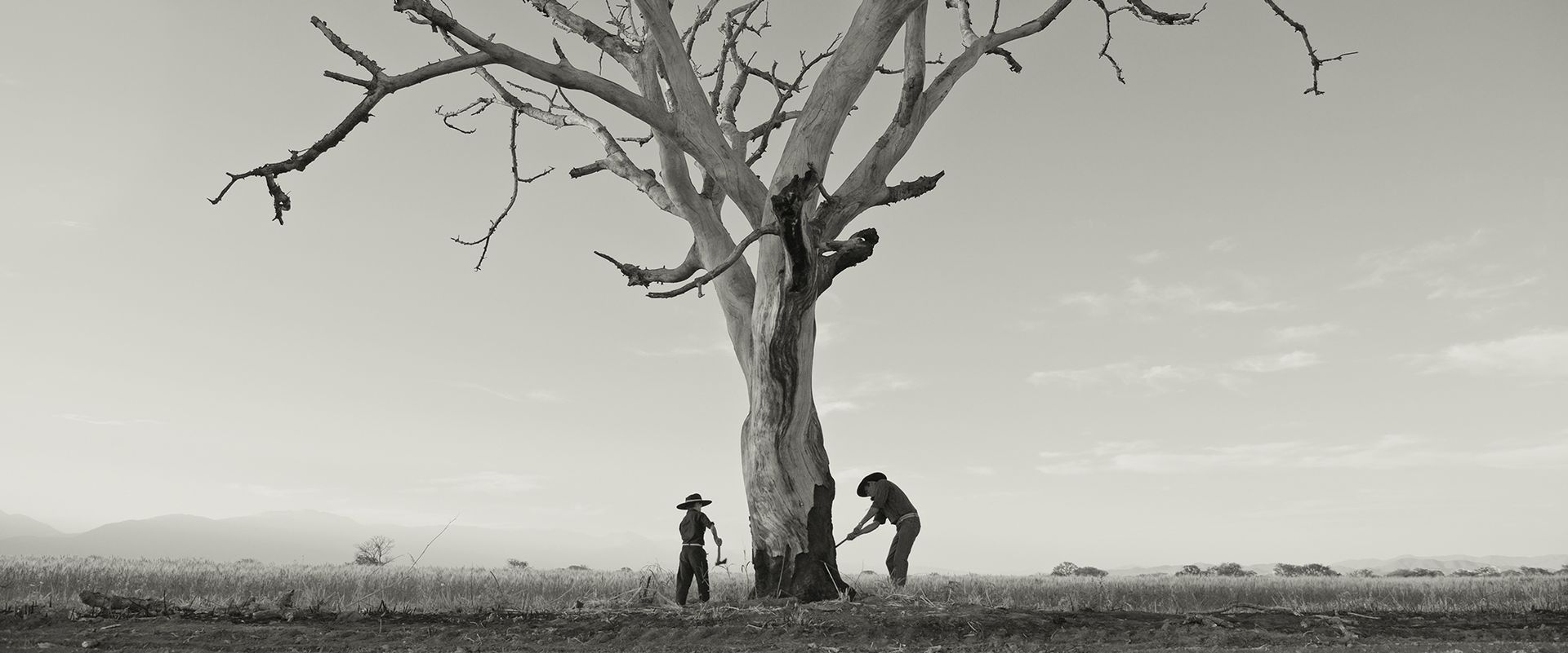 Seniorikino: Gaucho Gaucho