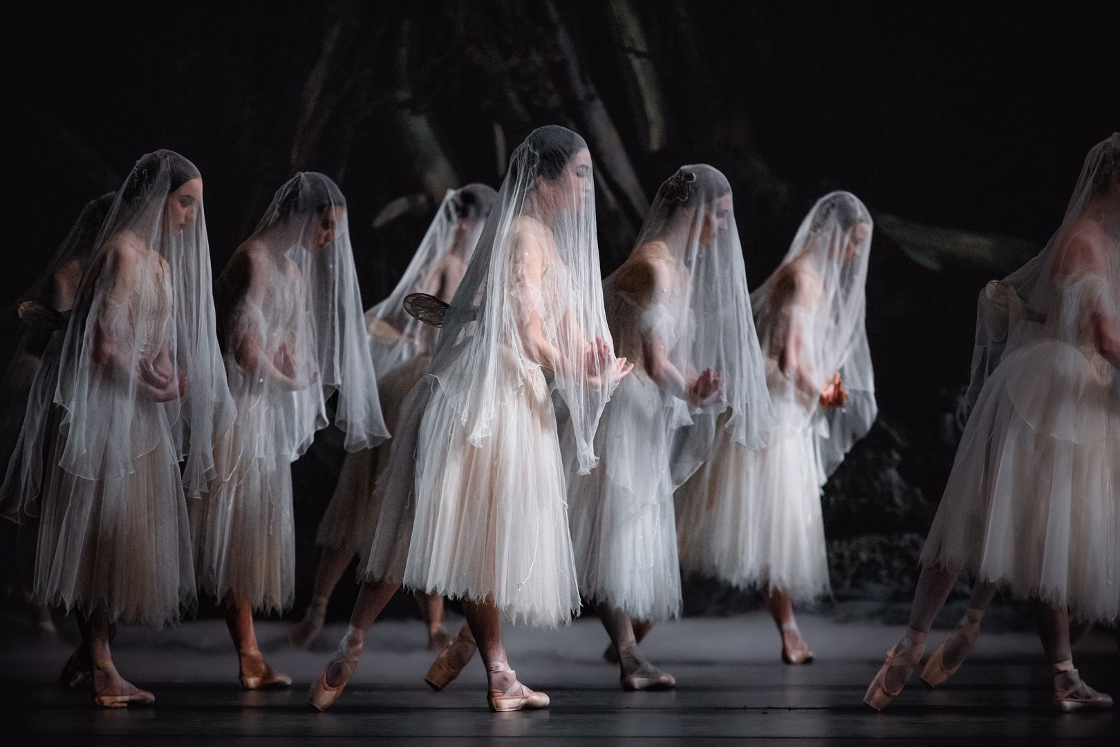 The Royal Ballet: Giselle